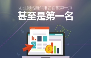 蜂鳥搜索營銷系統 上海互聯網推廣公司的創新引擎